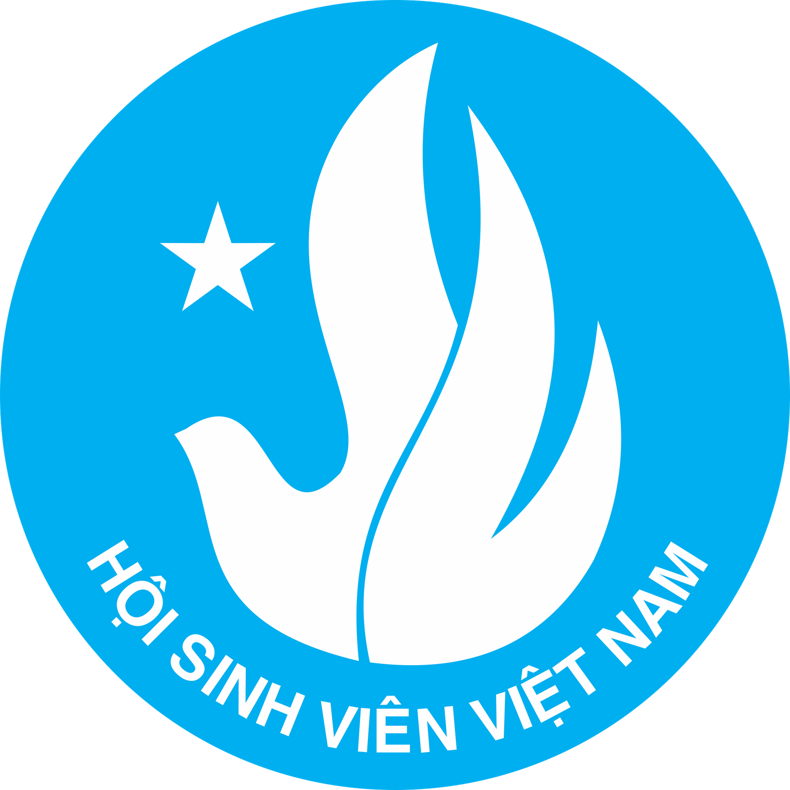 Logo Đoàn, Logo Hội Sinh viên, Logo Hội LHTN Việt Nam, Logo Đội ...
