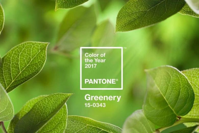 Pantone công bố màu sắc của năm 2023 Viva Magenta 37 - Thái Triển